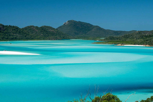 Depuis Airlie : croisière d'une demi-journée à Whitsundays et Whitehaven