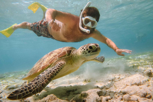From Bali: 2D1N Gili Island Private Snorkel Boat with Hotel