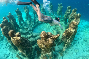 From Gili Meno: Private & Group Gili Islands Snorkeling