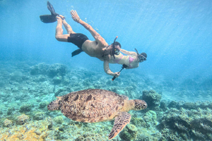 Da Lombok: tour di un giorno alle isole Gili Gede, Rengit e Layar