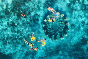 From Lombok: Gili Islands Private Snorkeling & Turtle Tour