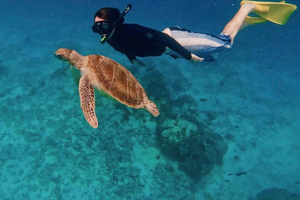 Desde Lombok: esnórquel privado en Gili Trawangan, Air y Meno