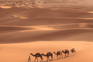 Från Marrakech: 3-dagars Merzouga- och Saharaökentur