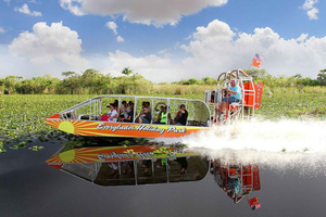 Från Miami: Everglades Airboat, Wildlife Show & Bus Transfer