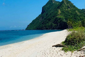 Vanuit Sumbawa: tweedaags avontuur op Sekongkang Island met kamperen