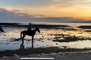 Gili Air: Private Sunrise or Sunset Horse Riding Tour