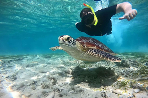Ilhas Gili: Passeio de barco privado para snorkeling com guia local