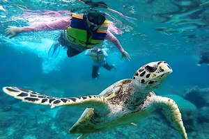 Gili Islands Snorkeling Adventure