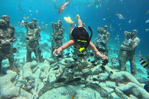 GILI T : PRIVATE SNORKELING TRIP 5 HOURS 3 GILI
