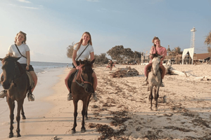 Gili Trawangan: Horse Riding on the Beach