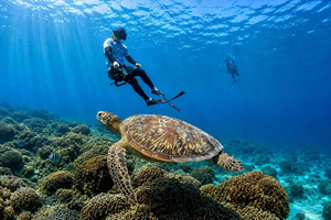 Gili Trawangan: Private Schnorcheltour zu 3 Inseln mit GoPro