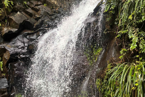 Grenada: Rum, Waterfalls, Chocolate, and Spice Tour