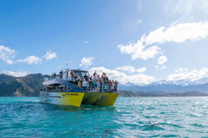 Kaikoura: Valskådningskryssning