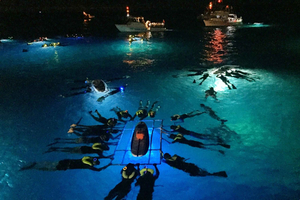 Kailua Kona: Manta Ray-eventyr om natten på Big Island