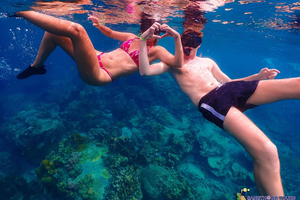 Koh Tao: Snorkling på öarna - höjdpunkter Dagstur & Lunch