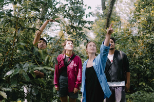 Lombok: Coffee Plantation Tour With Tasting