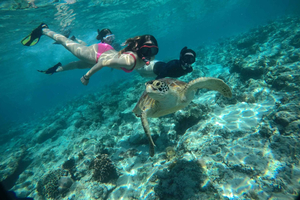 Lombok: Gili Islands Snorkeling Tour with Hotel Pickup