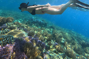 Lombok: Snorklingstur till Gili Nanggu, Sudak och Kedis