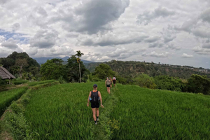 Lombok: Panorama walk Rice Fields, Waterfalls & Village Tour