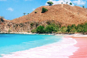 Lombok: Privat båttur till Pink Beach och Gili Petelu