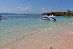 Lombok: gita di snorkeling alla spiaggia rosa con prelievo in hotel