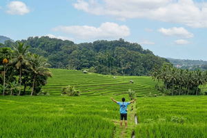 Lombok: Rice Field Sunset Tour With Snacks