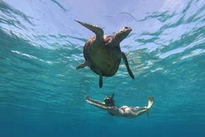 Lombok: Excursão Particular de Snorkel nas Secret Gilis