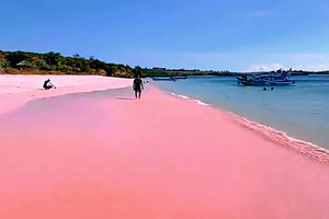 Lombok: Tanjung Luar Fish Market and Pink Beach Tour