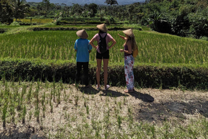Lombok: Tetebatu Village Tour with Lunch and Pickup
