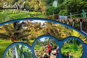 Lombok: Waterfall & Rice Field with Coffee Roasting