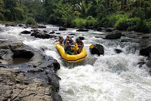 Lombok: White Water Rafting, Rice Terrace & Waterfall Tour