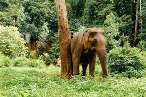 Lombok Wildlife Park: Admission Ticket