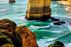 Melbourne Great Ocean Rd Reverse Tour London Bridge Vilda djur