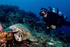 Meno Dive Club: Schnuppertauchkurs – Gili Meno