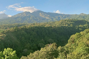 Monte Rinjani: trekking sul bordo del cratere di Senaru