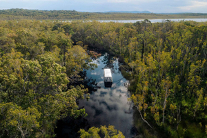 Noosa: Eftermiddagskryssning genom Noosa Everglades