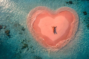 Pink Beach och 3 Gilis: Hummerodling, snorkling och babyhaj