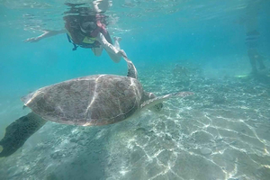 Private Snorkeling Tour GoPro Footage Costumize Tour