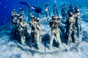 Private snorkeling with turtle and romantice statue