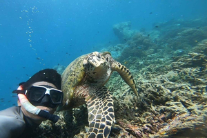 Sekotong: Gili Rengit, Gili Gede & Gili Layar Snorkeling