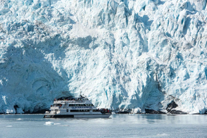 Seward : croisière prolongée vers les glaciers du parc national de Kenai Fjords