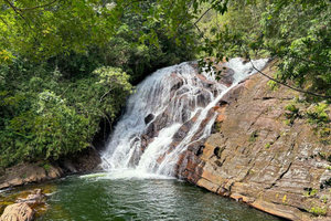 Sinharaja Rainforest: Nature Tour with Local Guide