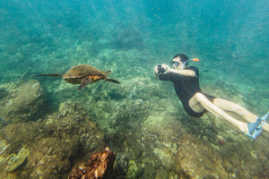 Południowe Maui: Molokini i Turtle Town Snorkeling Tour z posiłkiem