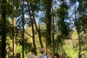 Tetebatu: Jungle, Waterfall, and Village Tour