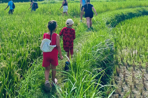 Tetebatu Village, Rice Fields & Monkey Forest Tour (Lombok)