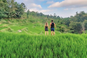 Tetebatu : Waterfall, Rice Fields & Monkey Forest Full day