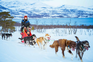 Tromsø: Trenó de Husky com almoço tradicional