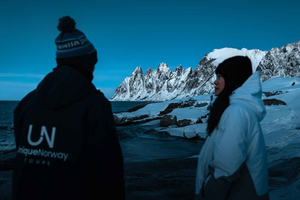 Tromsø: Senja Fjord & Landscape Tour in Chinese Small-Group