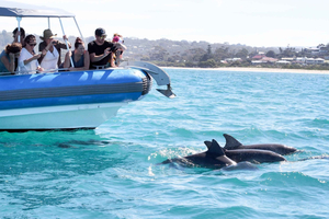 Victor Harbor: Äventyrskryssning i Södra oceanen med guide