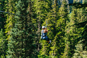 Whistler : Expérience de ziplining
